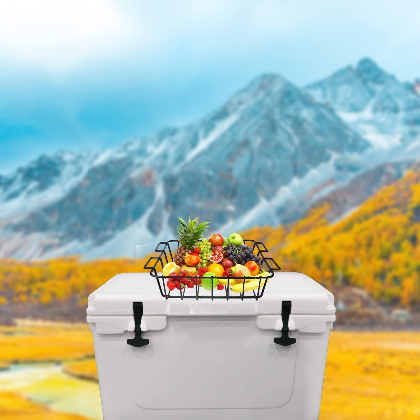 fivertik Cooler Basket for RTIC 65,Inside Dry-Goods Basket Compatible with RTIC 65 Coolers,Stainless Steel Wire Cooler Rack