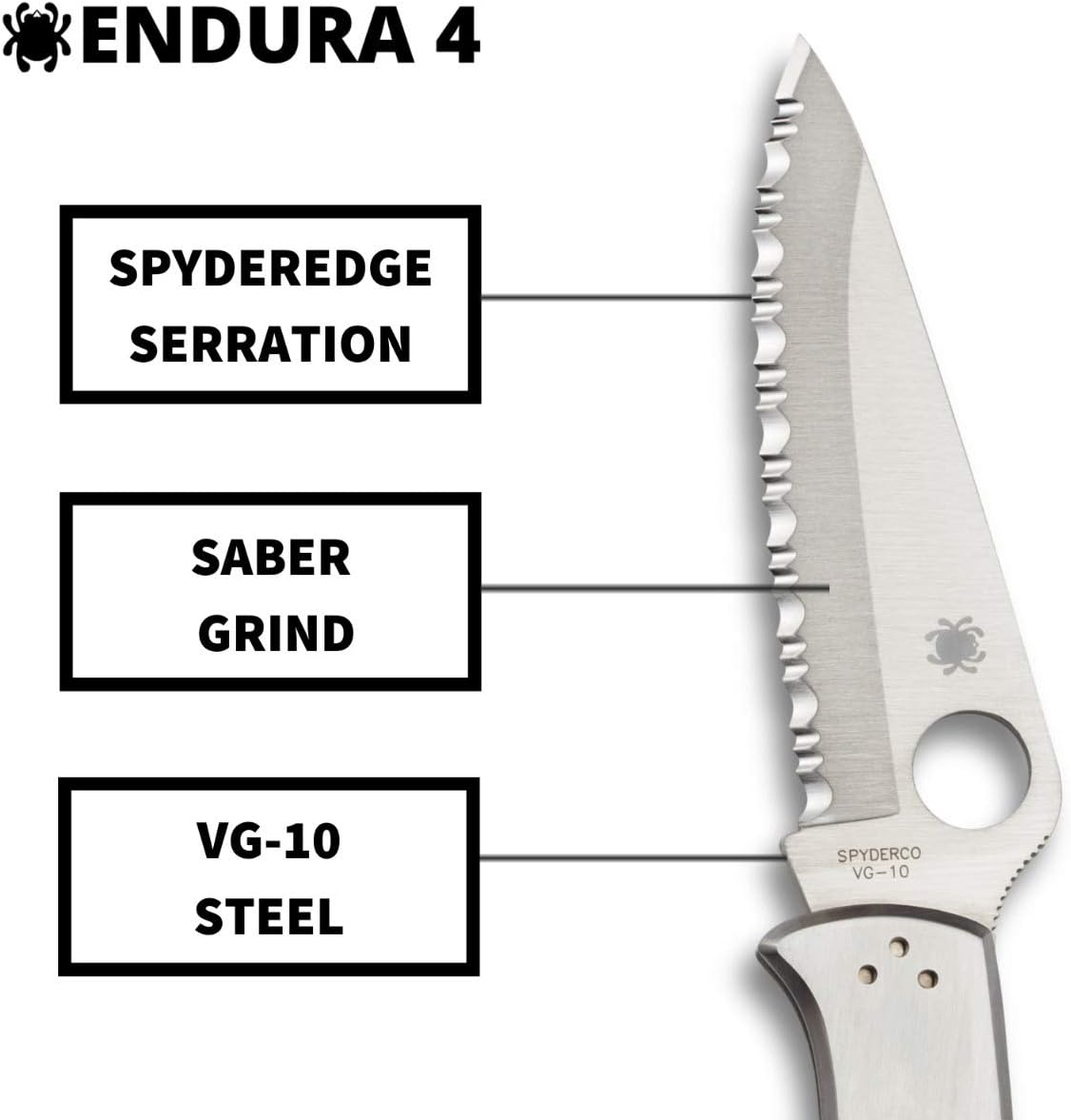 Spyderco Endura 4 Signature Folder Utility Knife with 3.85" VG-10 Steel Blade and Stainless Steel Handle - SpyderEdge - C10S