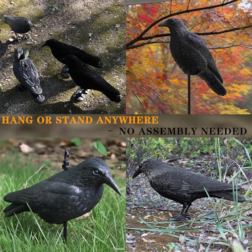 Plastic Crow Decoy with Stake for Hunting and Bird Attracting - Realistic Full Body Design