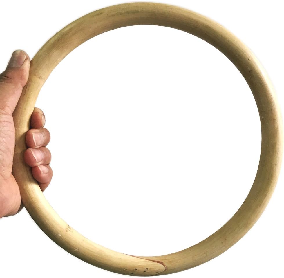 Training Ring for Wing Chun Kung Fu Sticky Hand Strength Physical Exercise Ring for Tai Chi Martial Arts