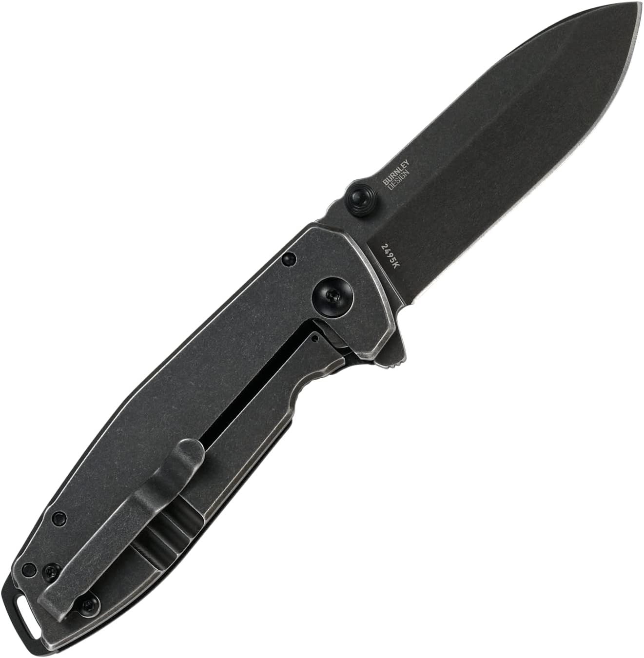 CRKT Squid Everyday Carry EDC Pocket Folding Knife with Frame Lock: Stainless Steel Plain Edge Blade, Stainless Steel Handle, Pocket Clip, 2490KS