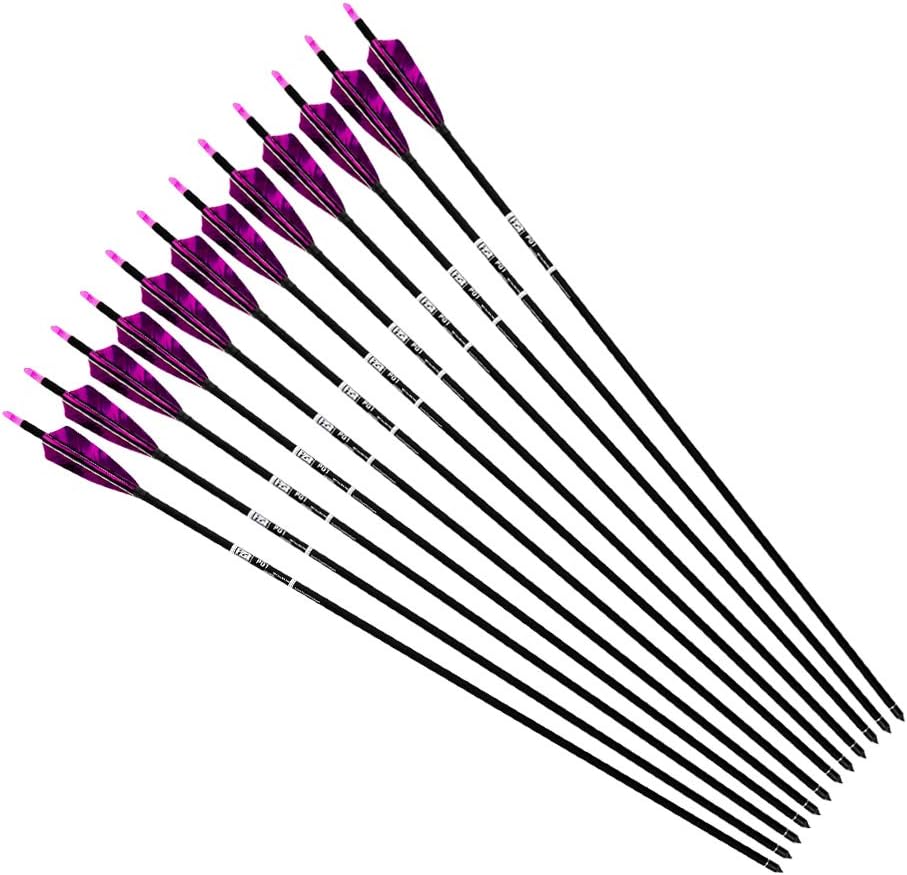 31-Inch Carbon Arrows Target Practice Hunting Arrow with 4" Shield Fletching spine 500 Arrows for Recurve Bow LongBow Compound Bow(Pack of 6)