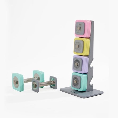DHT Adjustable Dumbbells, Dumbbell Sets with Rack, Free Weights Dumbbells Set, All-Purpose Fitness, Anti-Rolling, Weights Set for Gym, Home, Office, 2.2-22 lbs, 1 Set Macaron