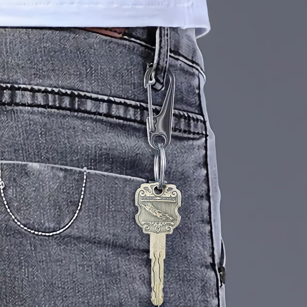 Augoing Keychain,Carabiner Clip Key Ring with Quick Release,Heavy Duty Car Key Chain Fob Holder for Men and Women,Stainless Steel Belt Loop Keyring