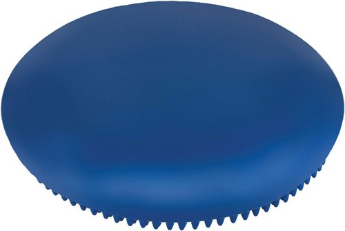 Champion Sports Exercise Disc