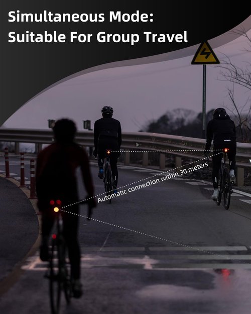 ROCKBROS Bike Tail Light Smart Brake Sensing Rear Bike Light Led Bike Lights,Type C USB Rechargeable,IPX6 Waterproof Bike Light for Night Riding