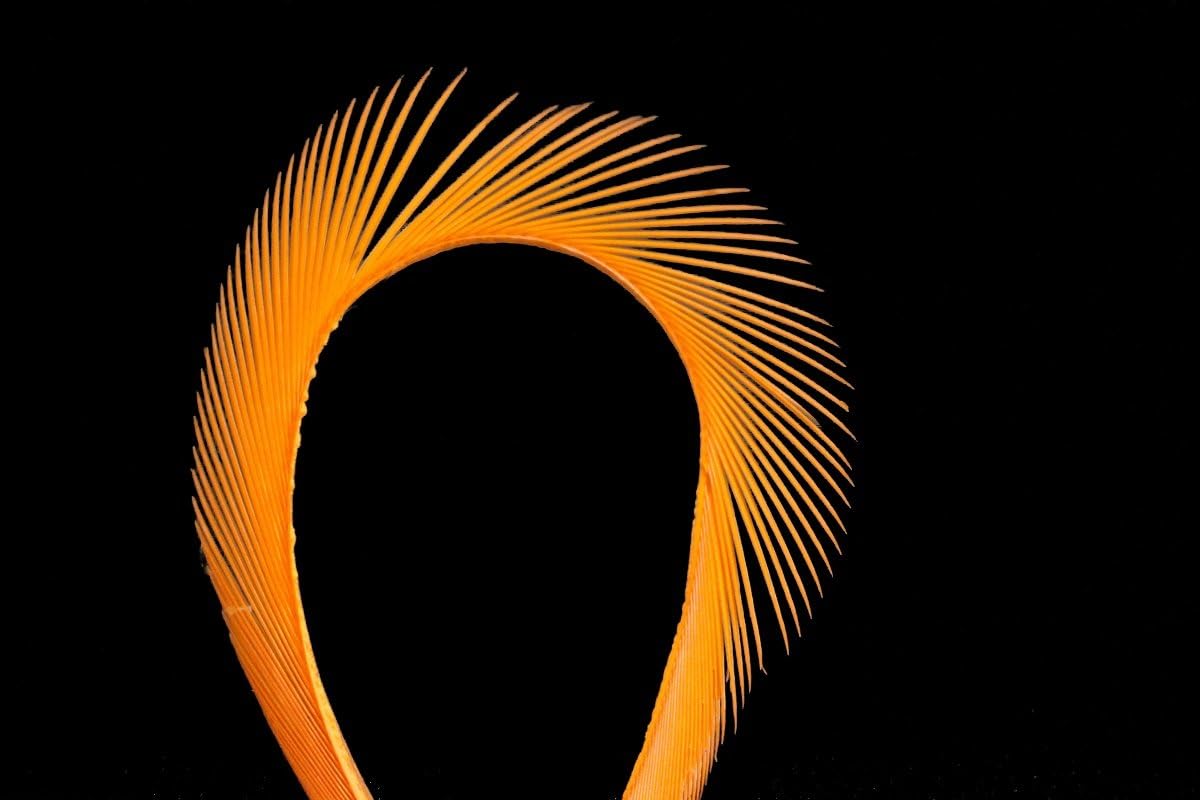 60 pcs/lot 15 Colors Goose Biots Spiky Fibers Feathers Stonefly Nymph Tails Antennae Wings Fly Fishing Tying Materials