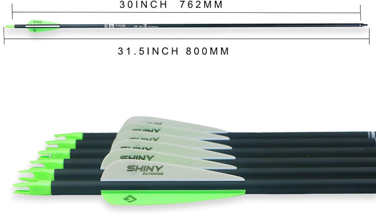 30Inch Carbon Arrow Practice Hunting Arrows with Removable Tips for Compound & Recurve Bow(Pack of 12)