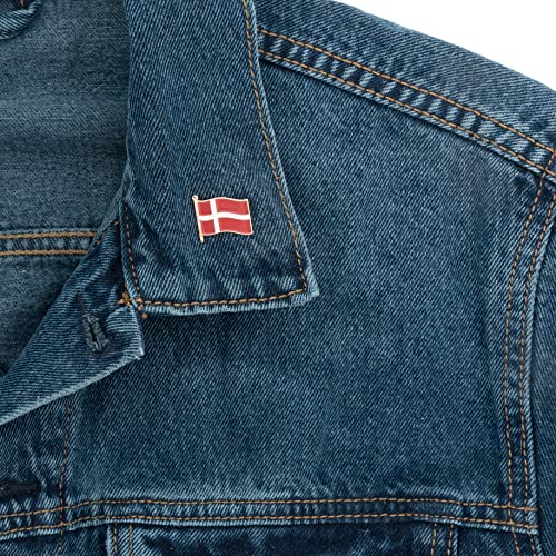 Enamel Finish Metal Lapel Pin - Desert Cactus Denmark Flag Waving Design