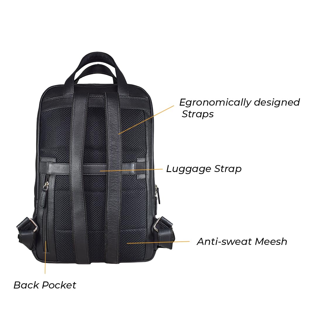 Generic Wild Woods Black Light Weight Back pack, Large