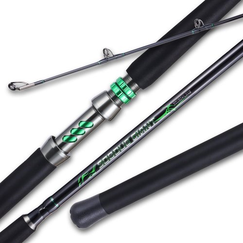Sougayilang Spinning & Casting Catfish Rod,2 Piece Medium Heavy Portable Travel Catfish Fishing Rod (CAST8'0'')