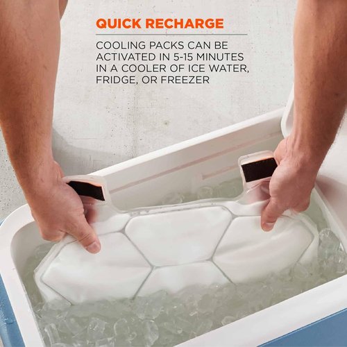Ergodyne unisex adult + Premium FR Phase Change Cooling Vest Packs, Orange, Small-Medium US