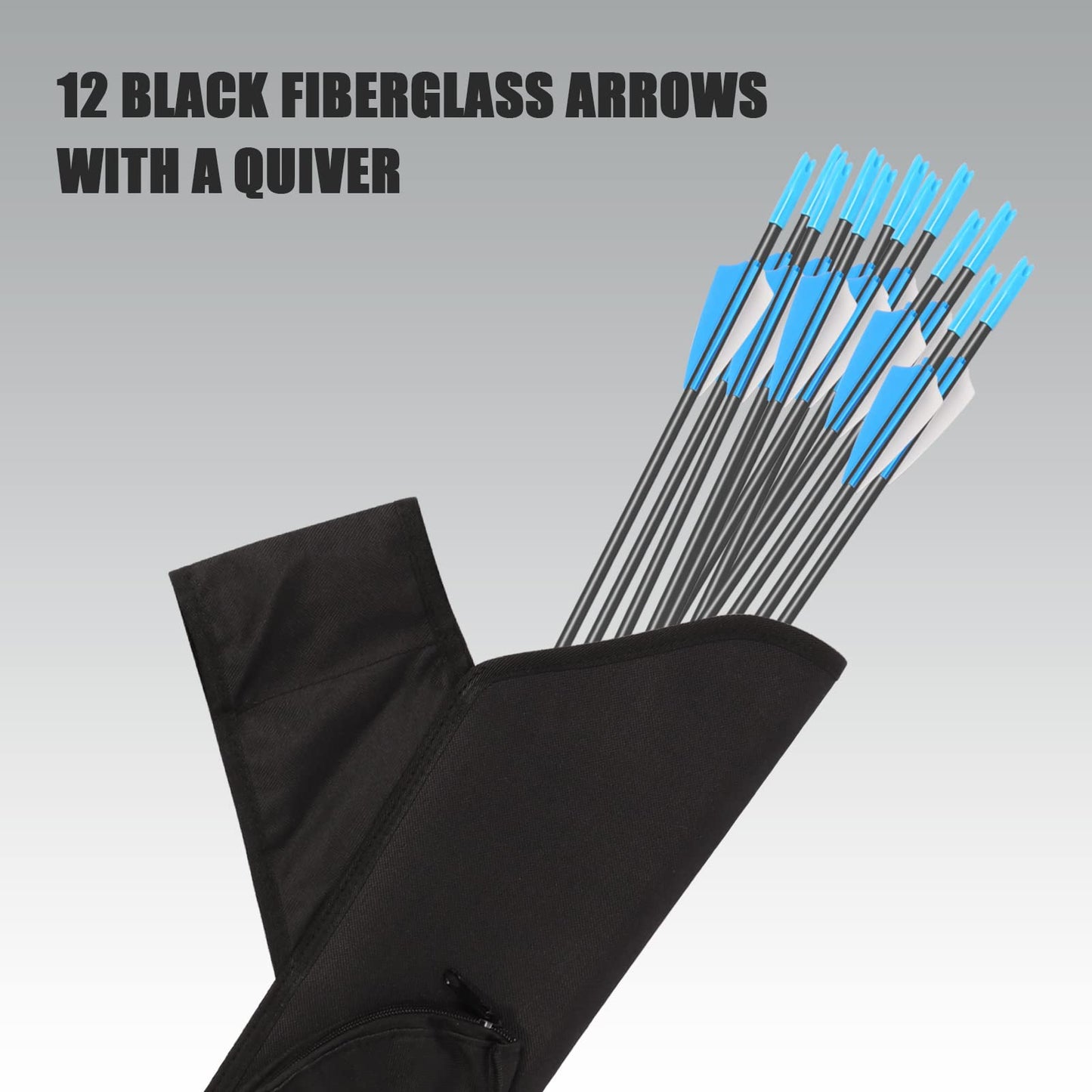 AKCHOER A208 Compound Bow and Arrow Set, 16-20 Lbs Draw Weight, Right Handed Bow for Kids Archery Beginner, Target Bow with Accessories for Teens Outdoor Sports Game Shooting Training (Blue)