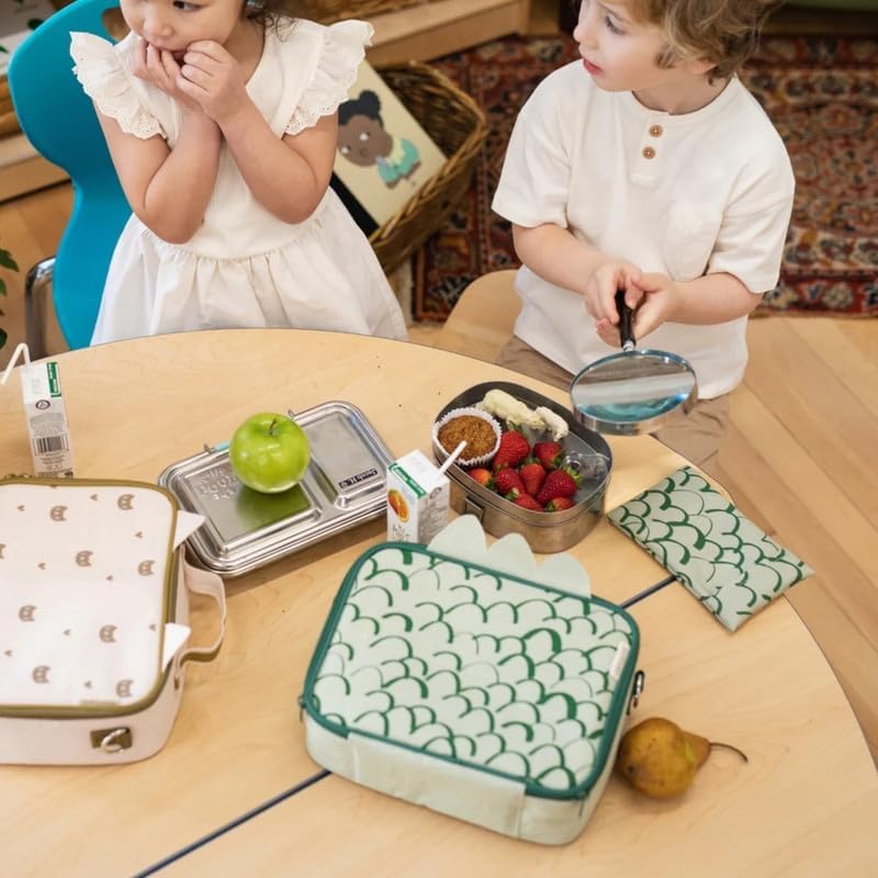SoYoung Ice Pack - Adults - Kids - Lunch Boxes - Coolers - Backpacks - Eco-Friendly - Non-Toxic - Blue Dinosaur