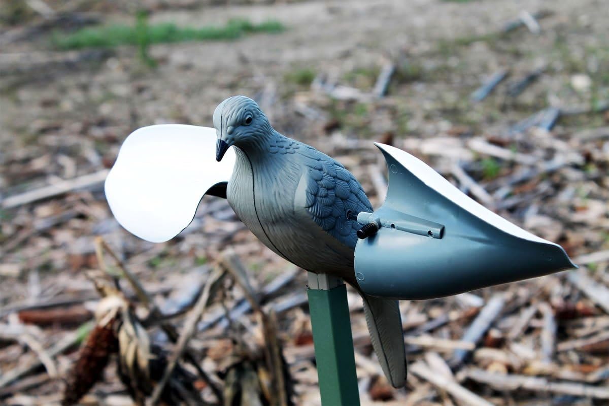 MOJO Outdoors Dove Hunting Decoys and Accessories – (Choose Style)