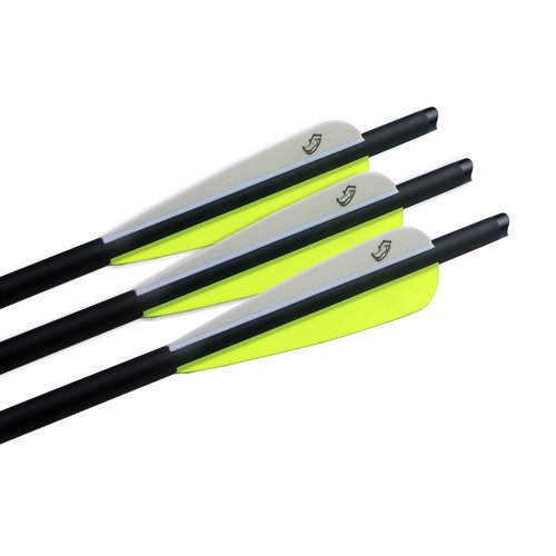 Pointdo 20inch Carbon Crossbow Bolts Crossbow Hunting Arrows with 4" Vanes and Replaced Arrowhead/Tip (12 Pack) (Yellow White&Broadheads)
