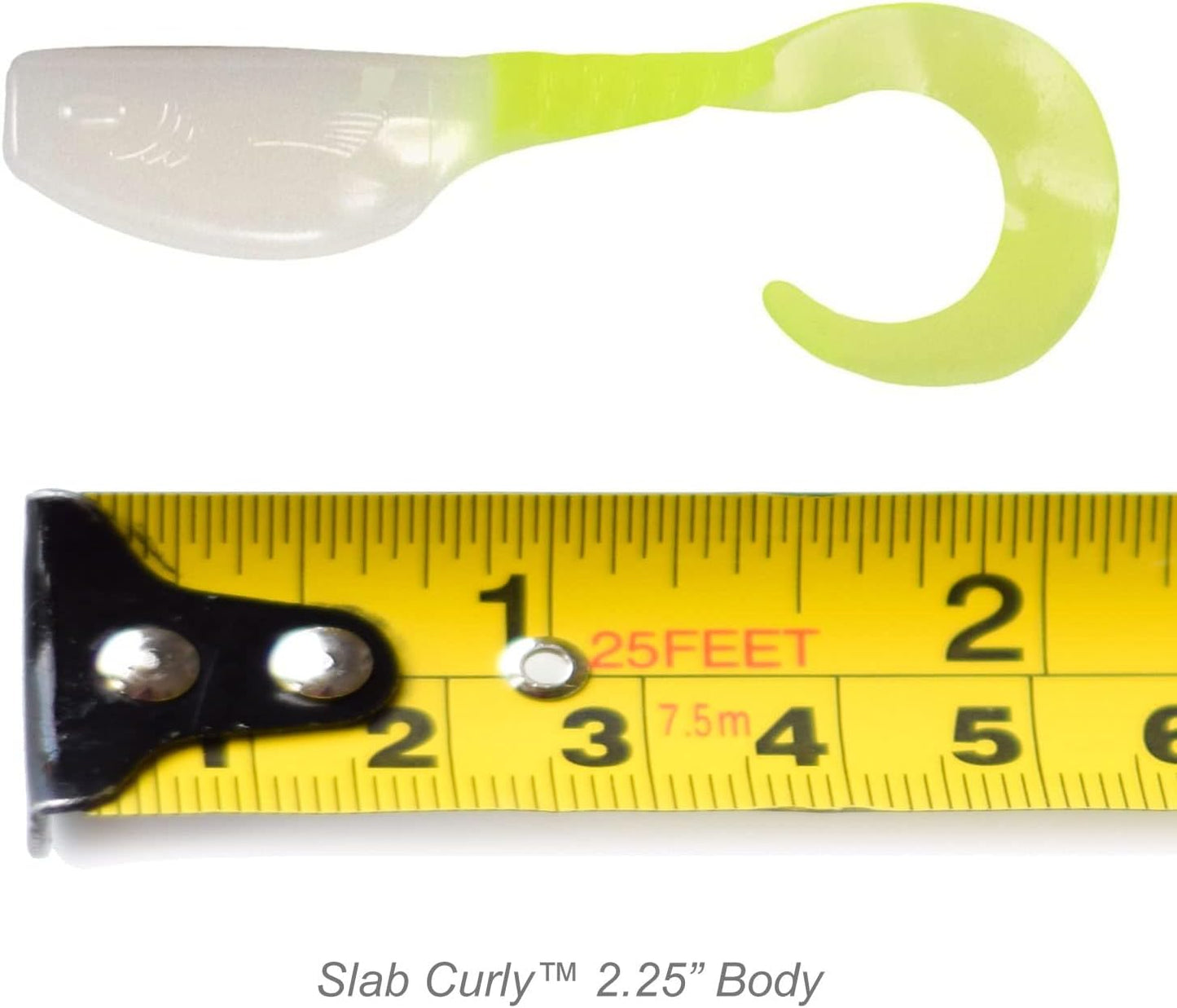 Slab Curly 12-Piece Curly Tail Jig Pack