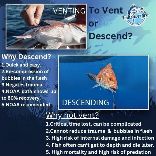 Fishsaverpro Fish Descending Return Device - 2 Pack- Compact & Reliable Release Device Built for Long Life. No Mechanical Release to Fail. Great for red Snapper. Unlike Venting Tools NOAA Preferred.