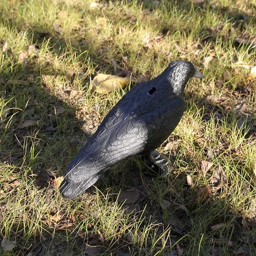Plastic Crow Decoy with Stake for Hunting and Bird Attracting - Realistic Full Body Design