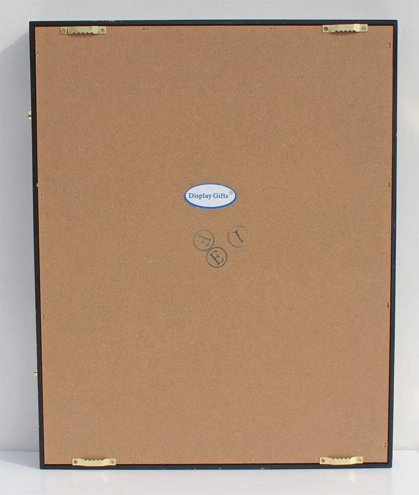 Military Challenge Coin Display Case - Wall Mount Cabinet for Coins & Poker Chips, 17.5x14 Black Frame