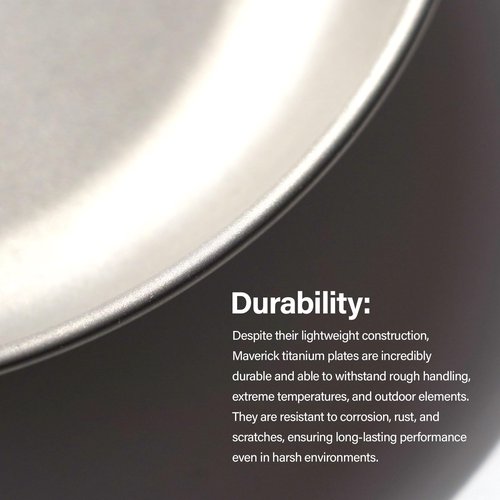 Maverick Cycles Ti Camping Plate, Lightweight Plate for Hiking, Backpacking, Small, Silver