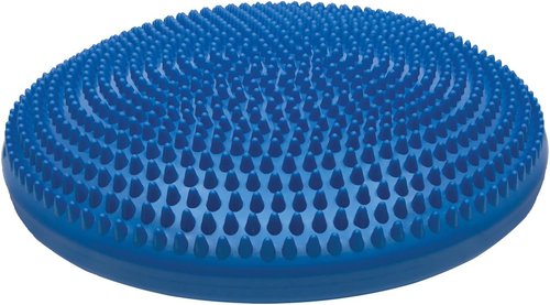 Champion Sports Exercise Disc
