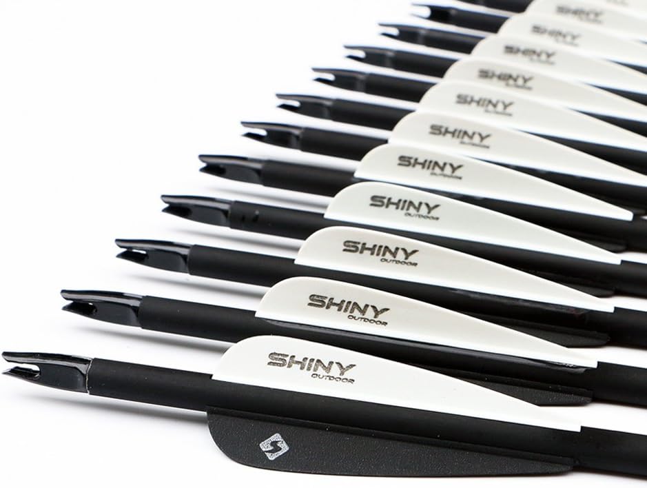 30Inch Carbon Arrow Practice Hunting Arrows with Removable Tips for Compound & Recurve Bow(Pack of 12)