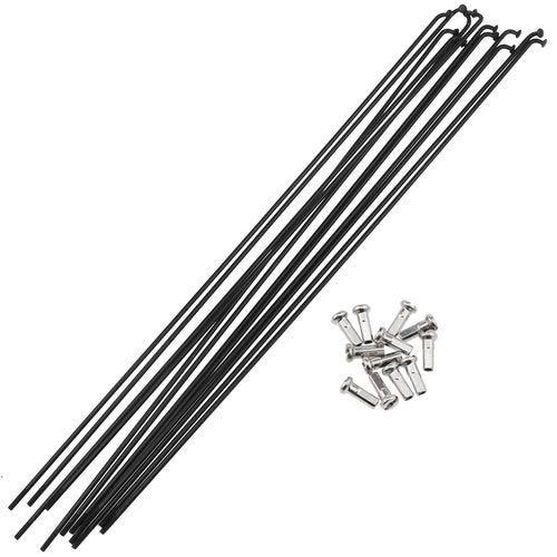 AYLIFU 12 PCS 14G Bicycle Stainless Steel Spoke 260mm Mountain Bike/Road Bike Spoke Belt 12mm Spoke Cap is Suitable for Most Bikes