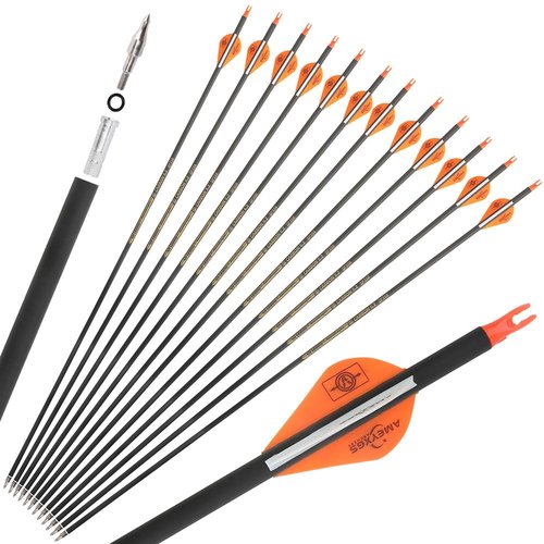 HNZMDY 30" Pure Carbon Arrows Archery Practice Hunting Arrows Spine 300 350 400 500 600 Targeting Arrows with Removable Tips for Compound & Recurve & Long Bow 6/12 Pcs