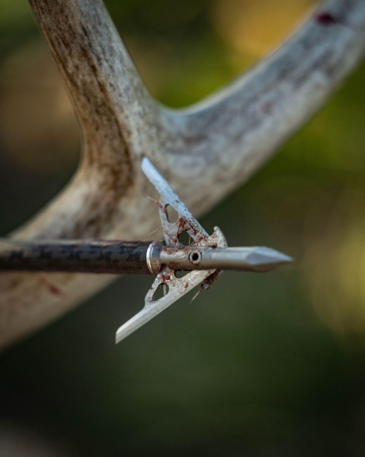 G5 T2 100-Grain 2-Blade Expandable Broadheads, 3-Pack | Durable Steel Archery Broadheads with Large 2" Cutting Diameter & Socket-Lock Retention System