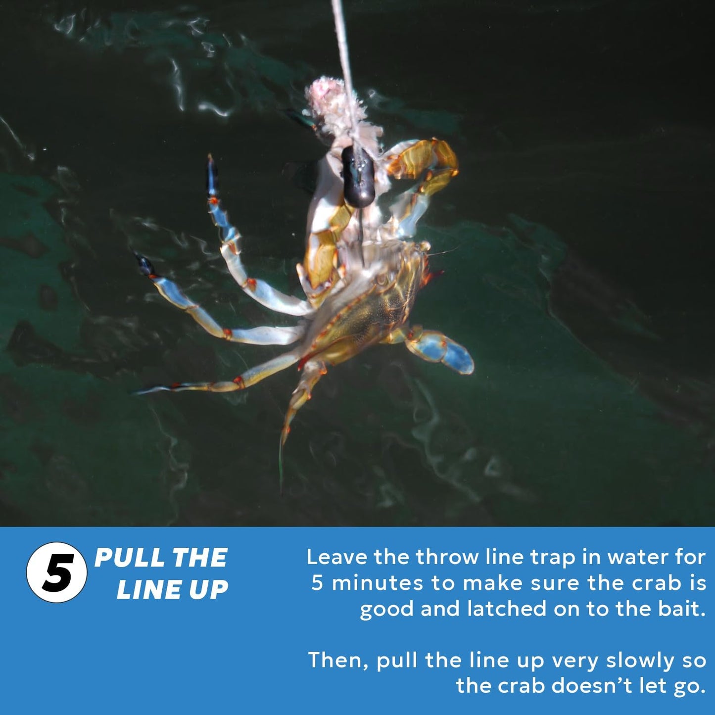 A1FISHER 3Packs Crab Throw Line Length 30FT/9.14M with 4OZ Lead Weight Crab Trap Line