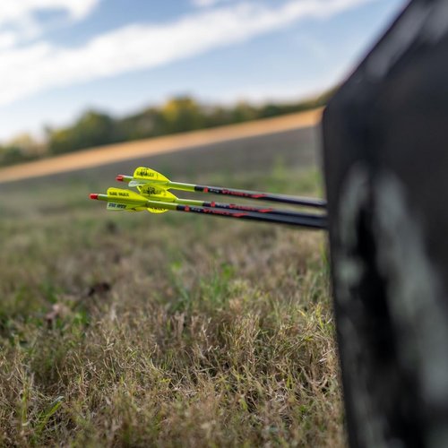 Victory Archery VForce 0.245" Standard Diameter Hunting Arrow (Spine: 350, 6 Pack Vane Fletched, Straightness ± 0.006 - Sport - Red)