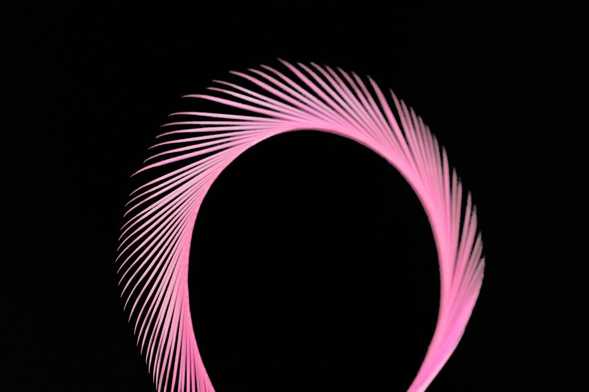 60 pcs/lot 15 Colors Goose Biots Spiky Fibers Feathers Stonefly Nymph Tails Antennae Wings Fly Fishing Tying Materials