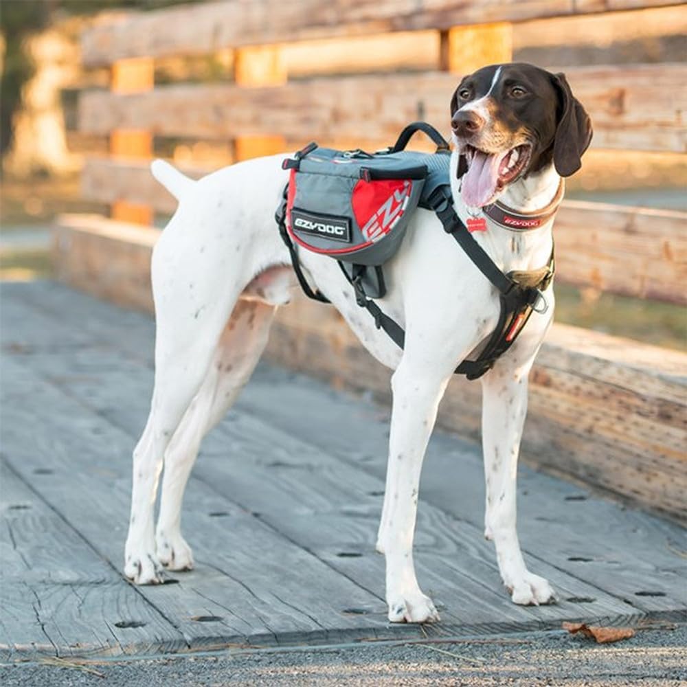 EzyDog Summit Outdoor Dog Backpack - Reflective and Incorporates a Chest Plate Harness - Easy Access Saddlebags with Superior Storage Capacity and Comfort - Front Pull Ring (Red/Gray, Large)