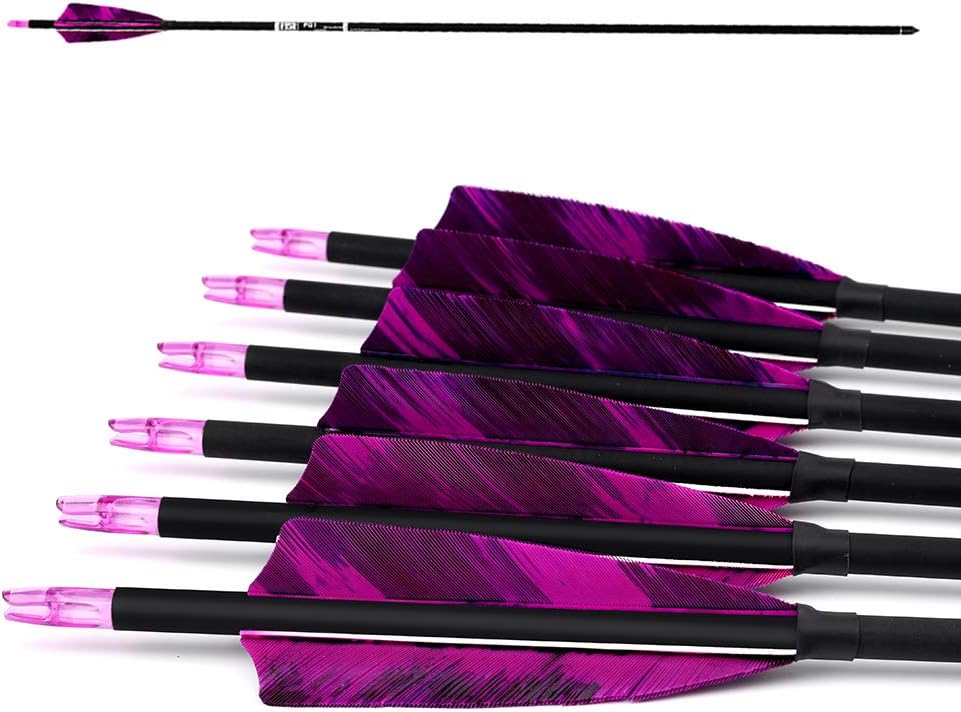 31-Inch Carbon Arrows Target Practice Hunting Arrow with 4" Shield Fletching spine 500 Arrows for Recurve Bow LongBow Compound Bow(Pack of 6)