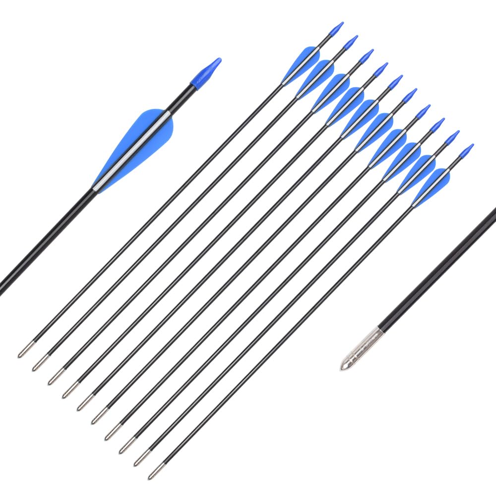 Fiberglass Arrows Archery 28 Inch Target Shooting Practice Safetyglass with Blue and White Vane for Recurve Bows Suitable for Youth Children Woman Beginner 6 PCS