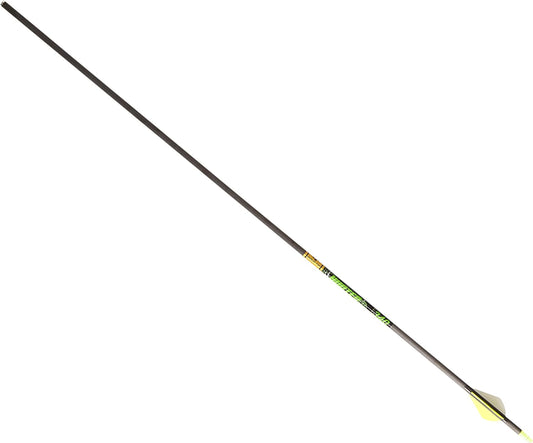 Gold Tip Hunter XT Carbon Arrows with Raptor Vanes - Pack of 6 for Precision Archery
