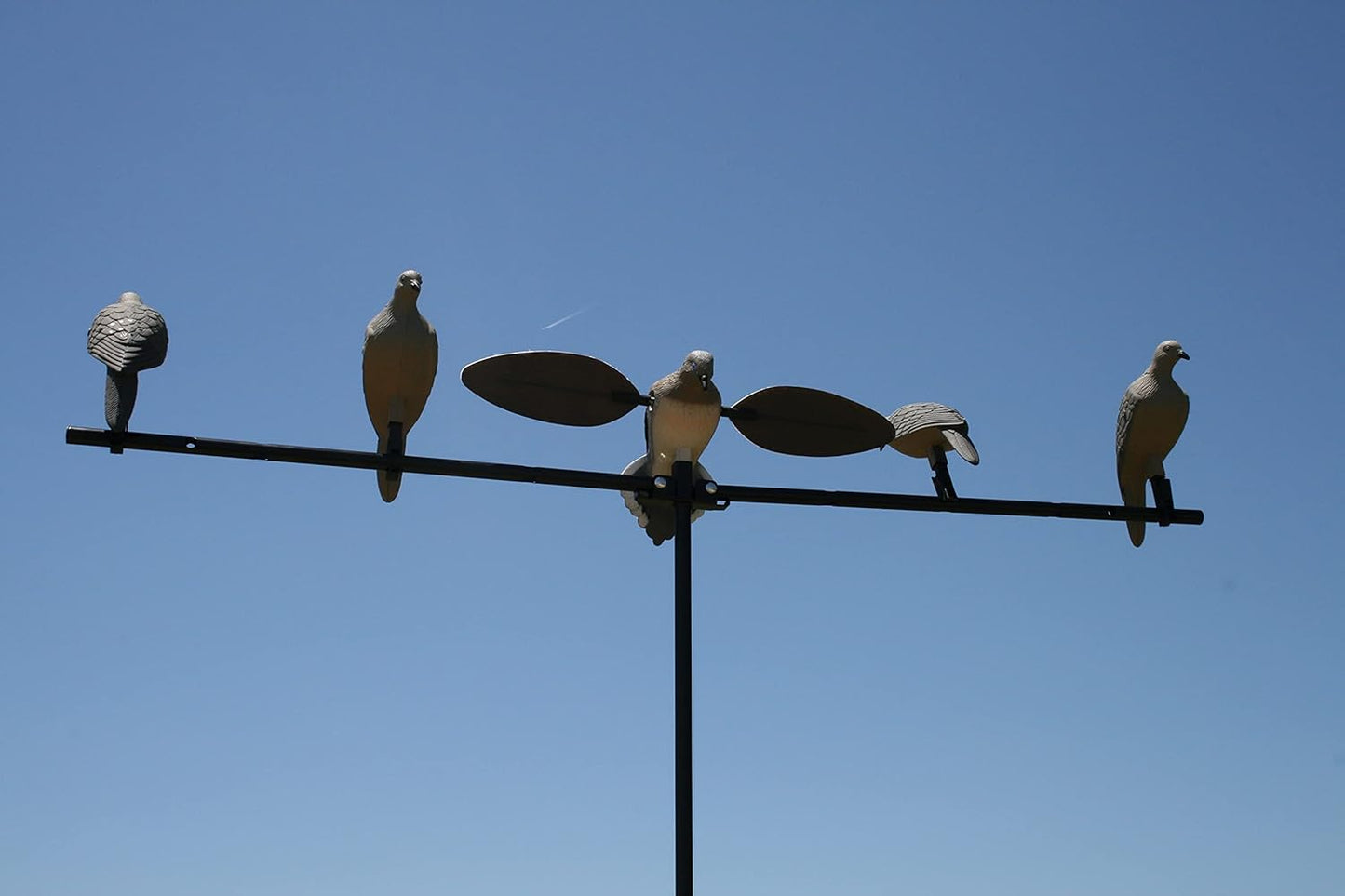 MOJO Outdoors Dove Hunting Decoys and Accessories – (Choose Style)
