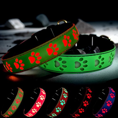 DOGLED LED Light Up Dog Collar, USB-C Rechargeable, Multicolor Paw Print Design, 15 Modes Lighting Night Safety (Green, S(7.87-11.8"))
