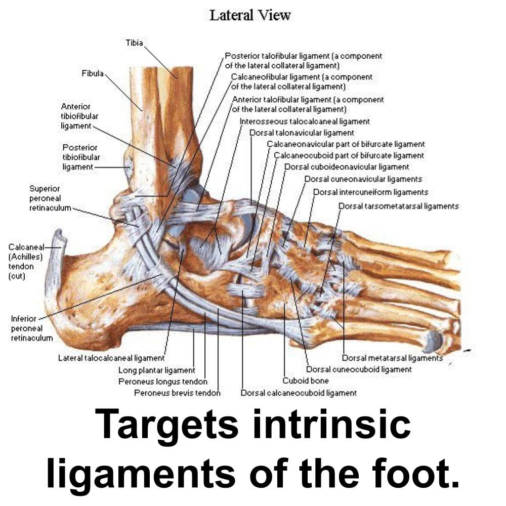 AcrobaX Balance Disc Trainer, 4-inch, Stainless Steel, for Acrobats, Athletes, Longevity, and Ankle Rehab for Balance Improvement, Adavanced Level Difficulty