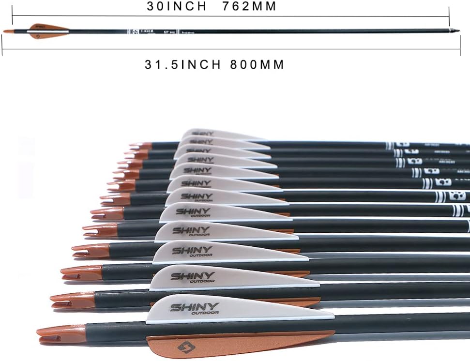 30Inch Carbon Arrow Practice Hunting Arrows with Removable Tips for Compound & Recurve Bow(Pack of 12)
