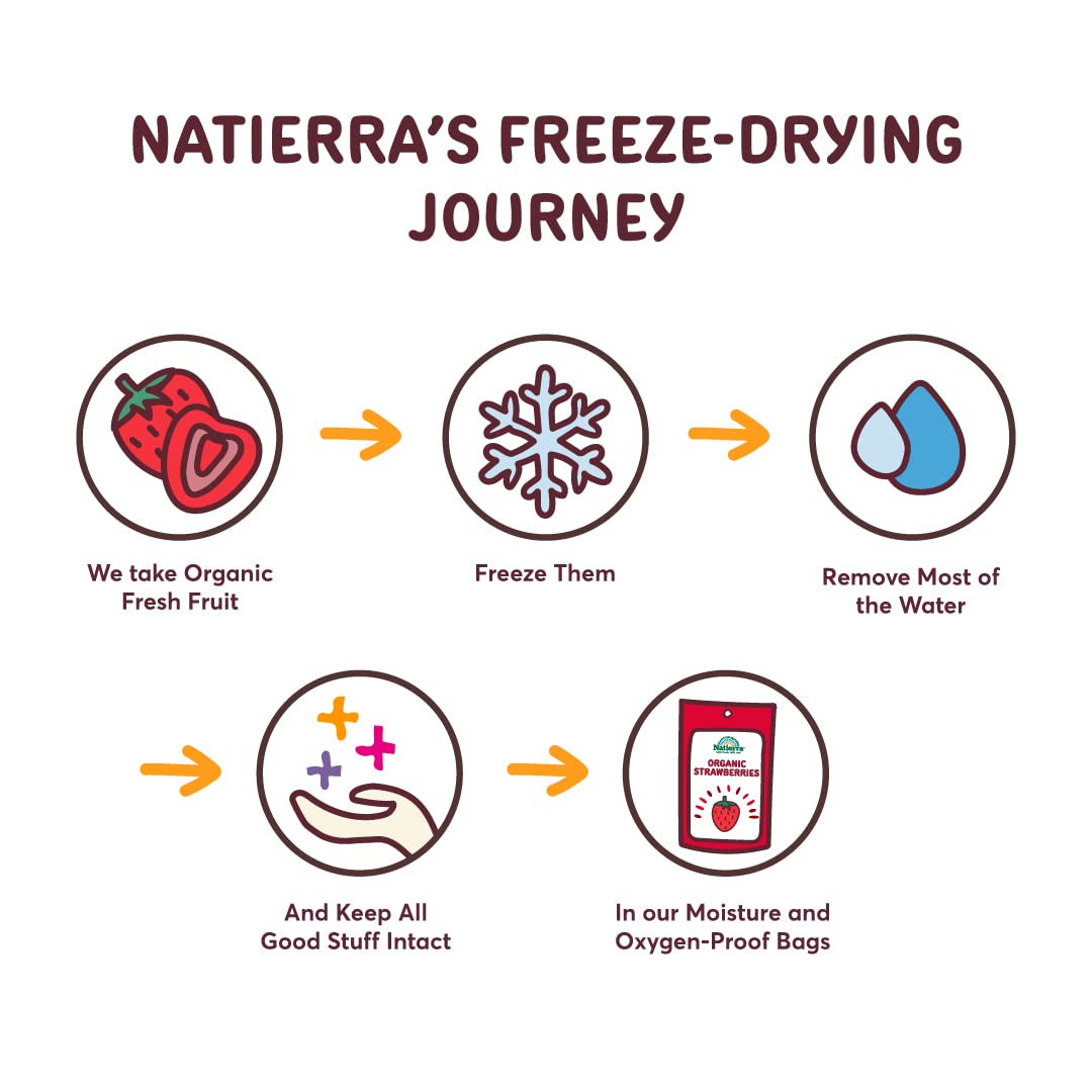 Natierra Nature's Organic Freeze-Dried Bananas | Gluten Free & Vegan | 2.5 Ounce (Pack of 3)
