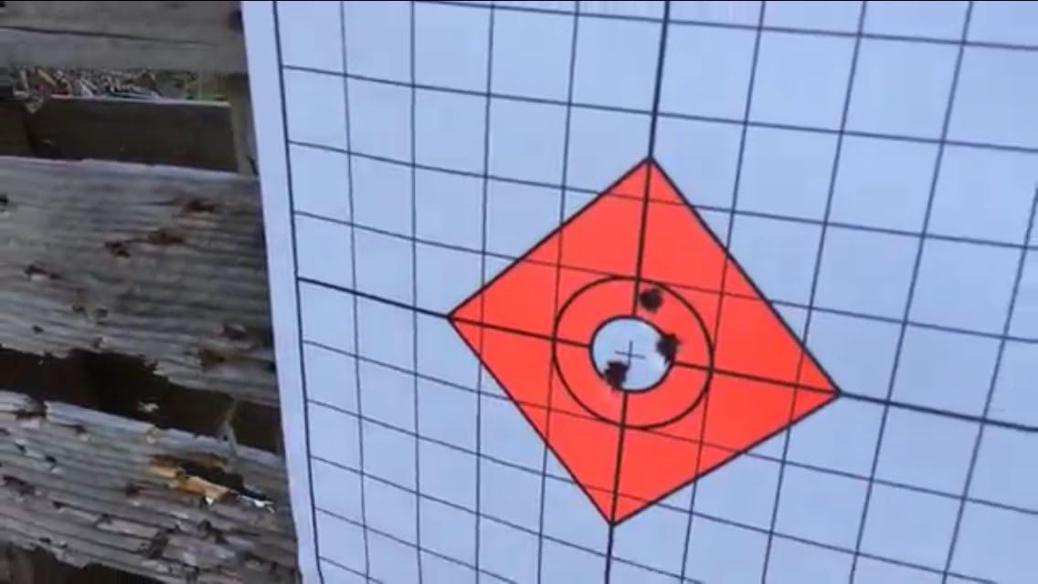 EZ2C USA Made Targets Style 13 High Visibility Rifle Sight in Paper Shooting Range Target with 1" Grids 11"x17" (25 Pack)