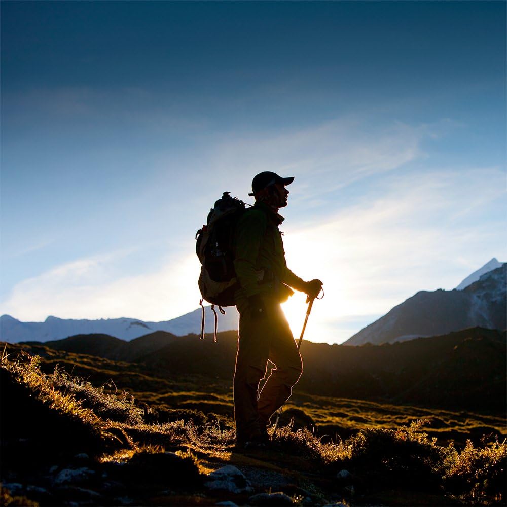 Adjustable 43" Shock-Resistant Trekking Pole & Hiking Staff - Crown Sporting Goods