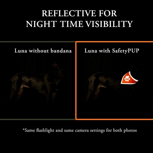 SafetyPUP XD Blaze Orange, Reflective Dog Vest & Bandana (Medium). Safety Gear to Help Prevent Hunting & Motorist Accidents.