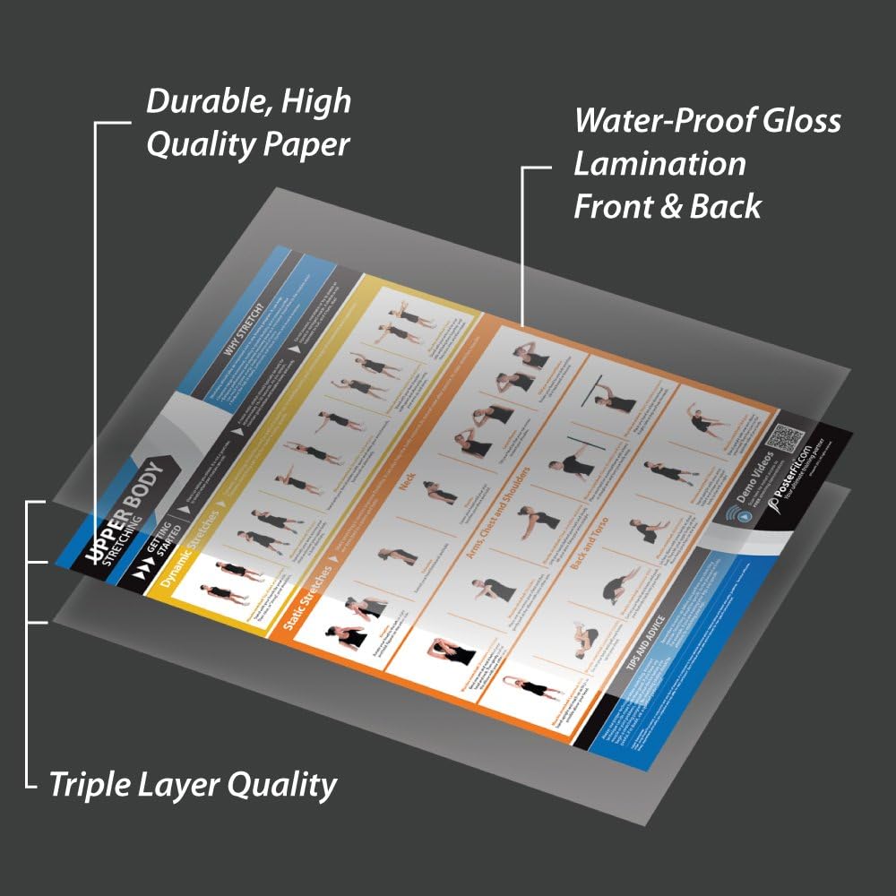 Posterfit Training Zones & Thresholds Poster - EXTRA LARGE - 33 x 23.5 - Laminated - Home & Gym Poster - Includes Online Video Training Support - Exercise Charts