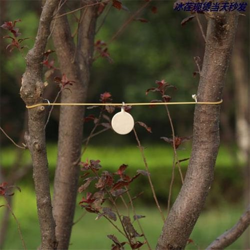 TOASIS Slingshot Targets 3pcs Outdoor Shooting Practice Steel Discs Target Assorted Sizes