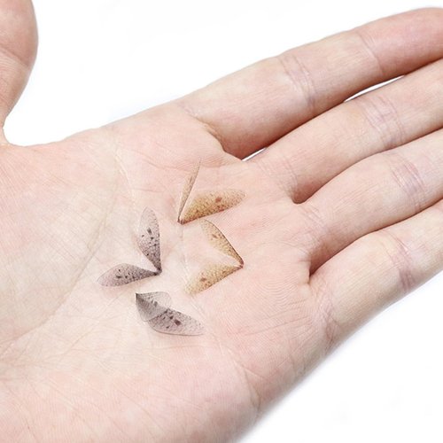 HAINEAO 120pcs Fly Fishing Tying Materials Dry Fly DIY Binding Material Insect Wings Fishing for Trout