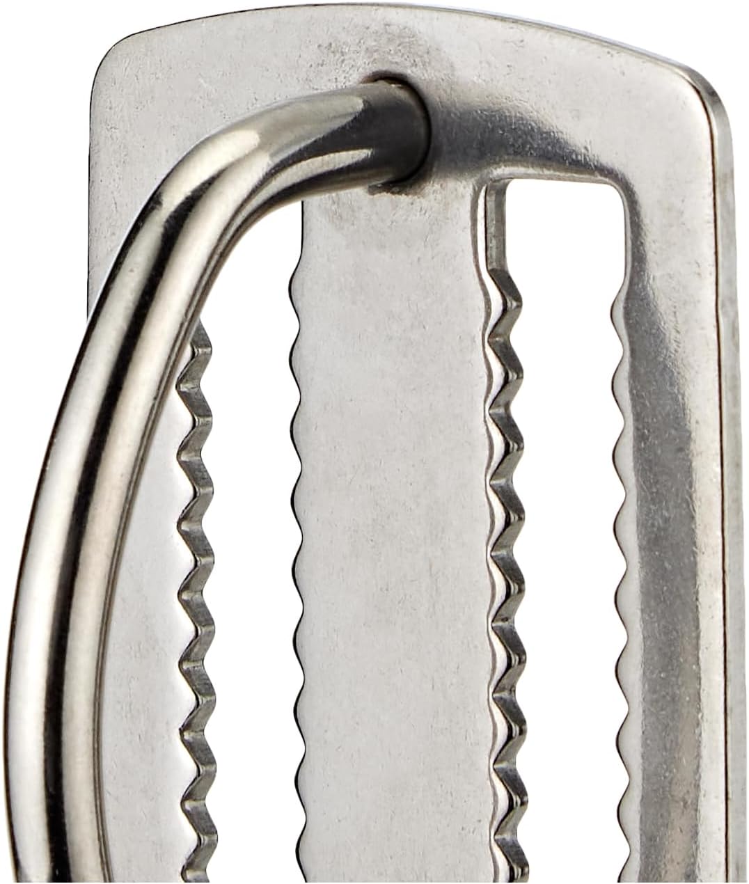 Scuba Choice Stainless Steel Weight Belt Keeper with D-Ring – Heavy Duty, Slip-Free, Prevents Accidental Release, Fits 2" Webbing, Ideal for Diving, Spearfishing, and Water Sports Accessories