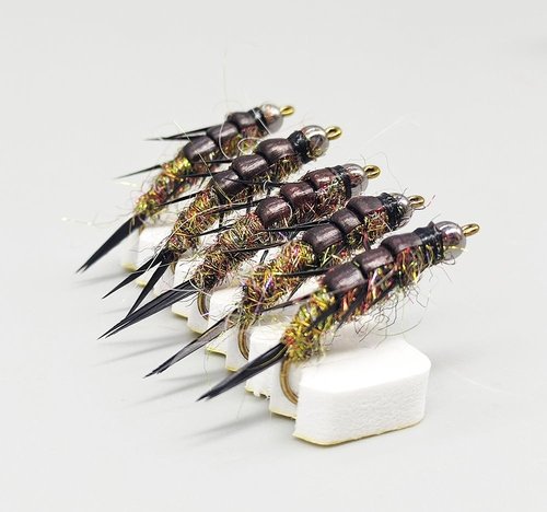 KTGCOZS Pack of 10 Nymph stonefly Fly Flies Trout Fishing Artificial Insect Fishing Bait Lure